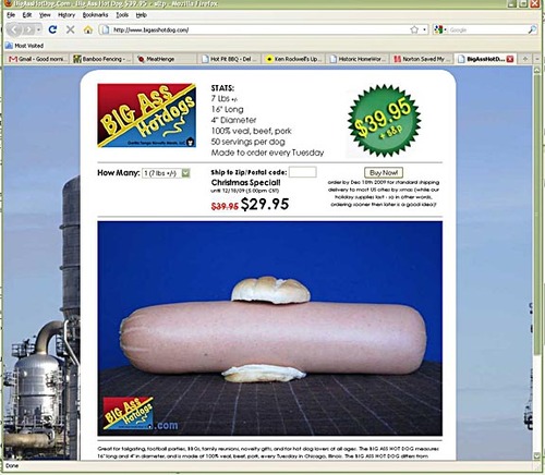 Kelly Williams the marketing pr coordinator in Chicago for Big Ass Hotdog Kelly Williams the marketing pr coordinator in Chicago for Big Ass Hotdog